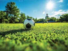 即时比分快捷使用流程图示